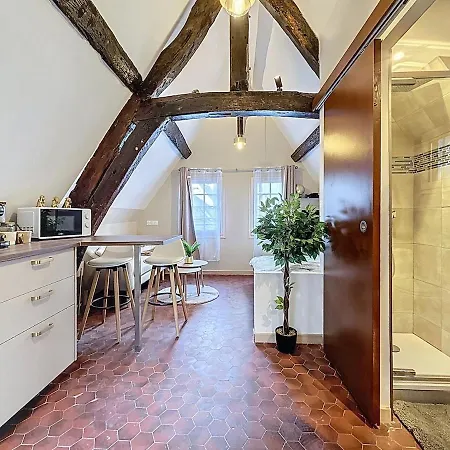 公寓 Center Historique - Le Refuge De L'antiquaire 鲁昂