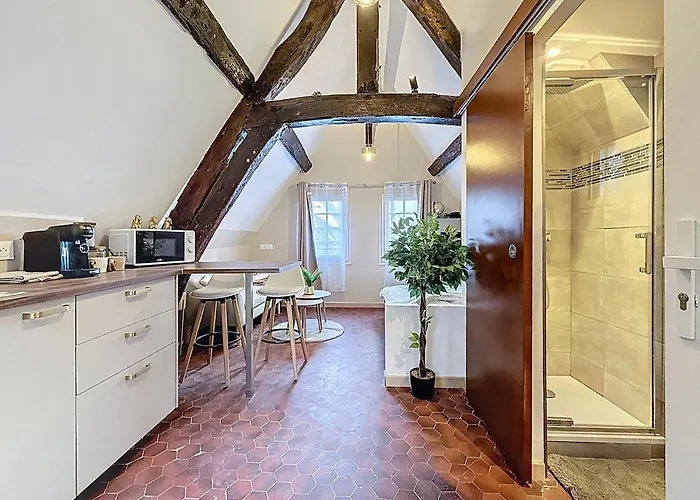 公寓 Center Historique - Le Refuge De L'antiquaire 鲁昂