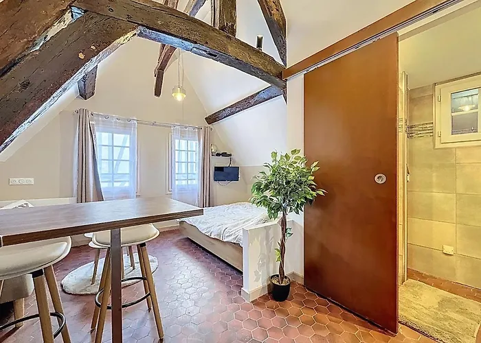 公寓 Center Historique - Le Refuge De L'antiquaire *